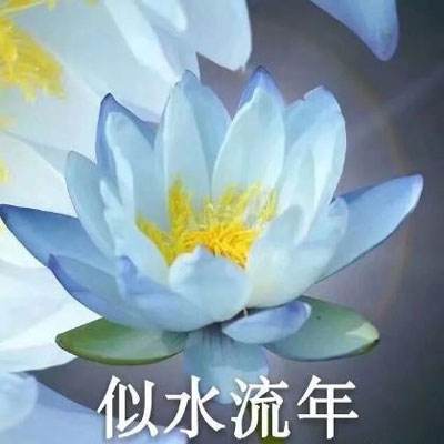 球友直播下载